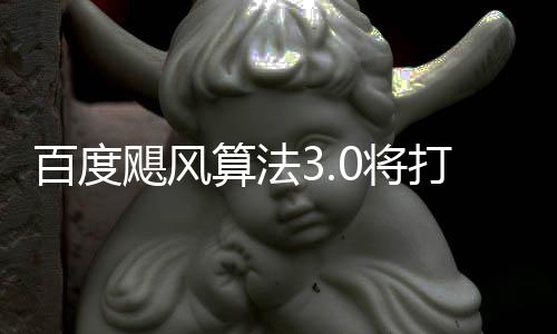 百度打击低质桶站群及飓风0将集域采跨领垃圾算法