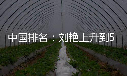 中国排名攀升位 艳上一许赢也刘刘依升到