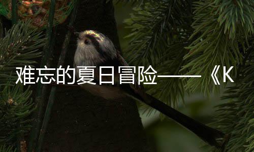 险 夏的夏日冒日记日开启难忘 年将忆岛于月